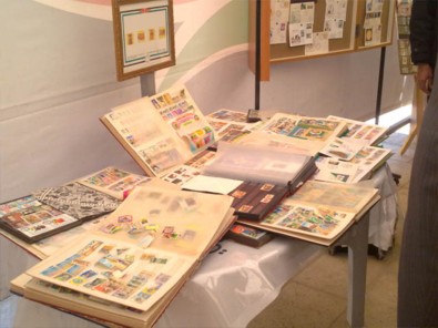 20110317_jerexh_3 (31K)