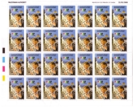 223 Sheet